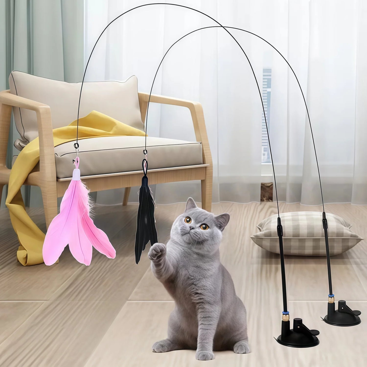Pets