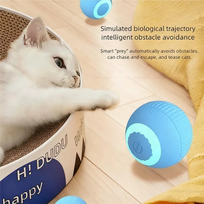 S29ca4032809f4292b47a24b2952ed9fa6