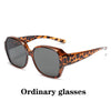 tortoise ordinary grey