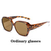 tortoise ordinary brown
