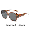 tortoise polarized grey